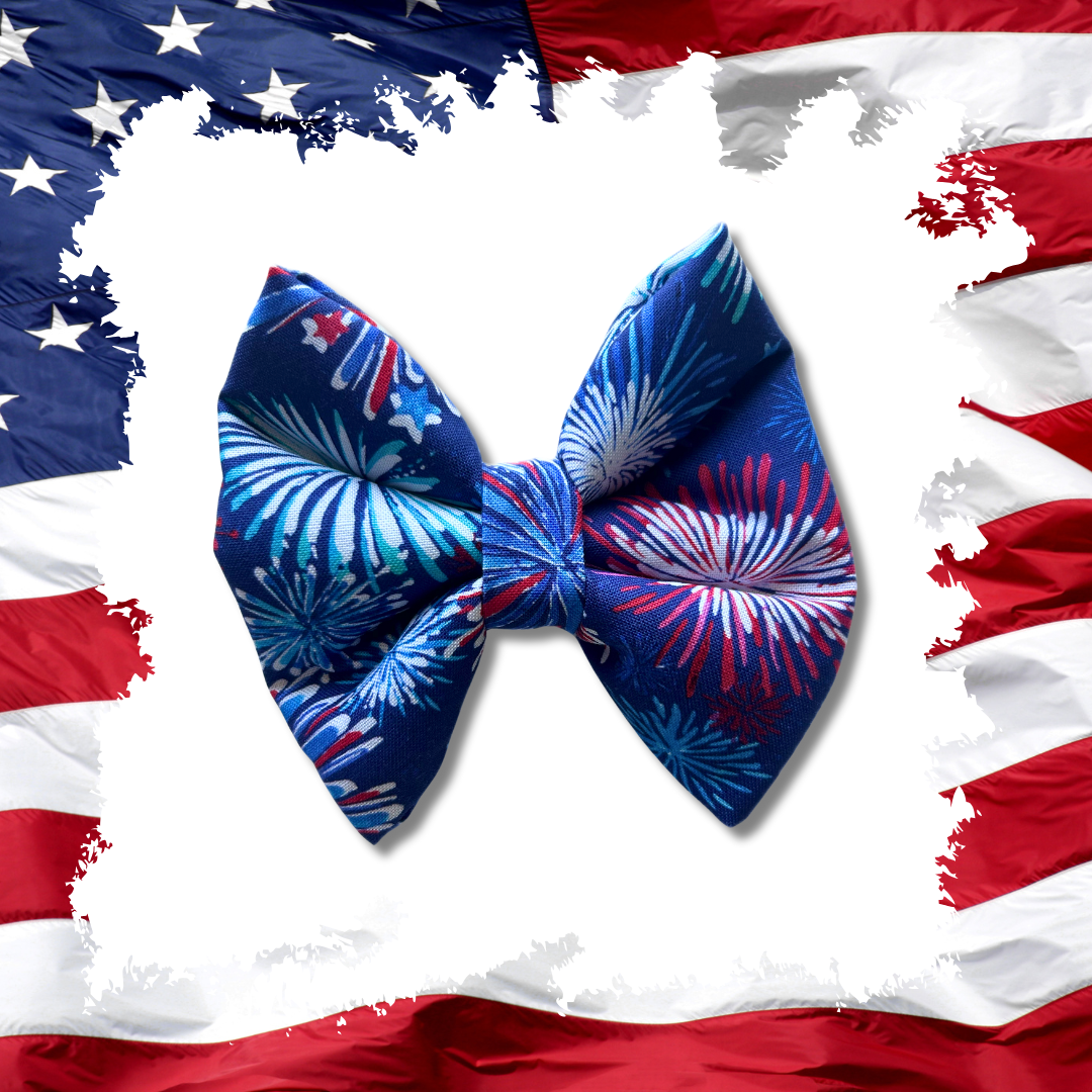 God Bless America Slip Over the Collar Bow Tie