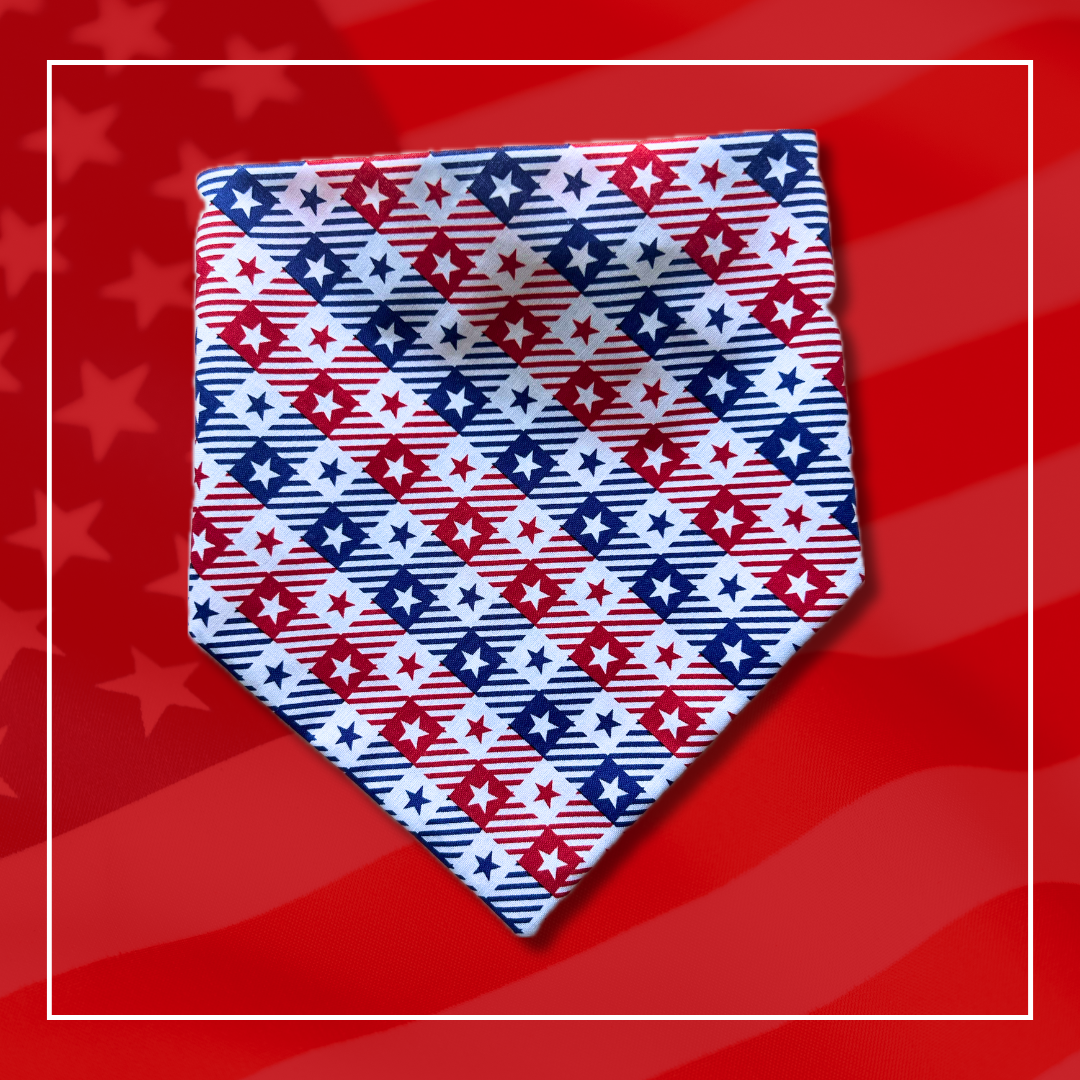 Land of the Free Scrunchie Bandana