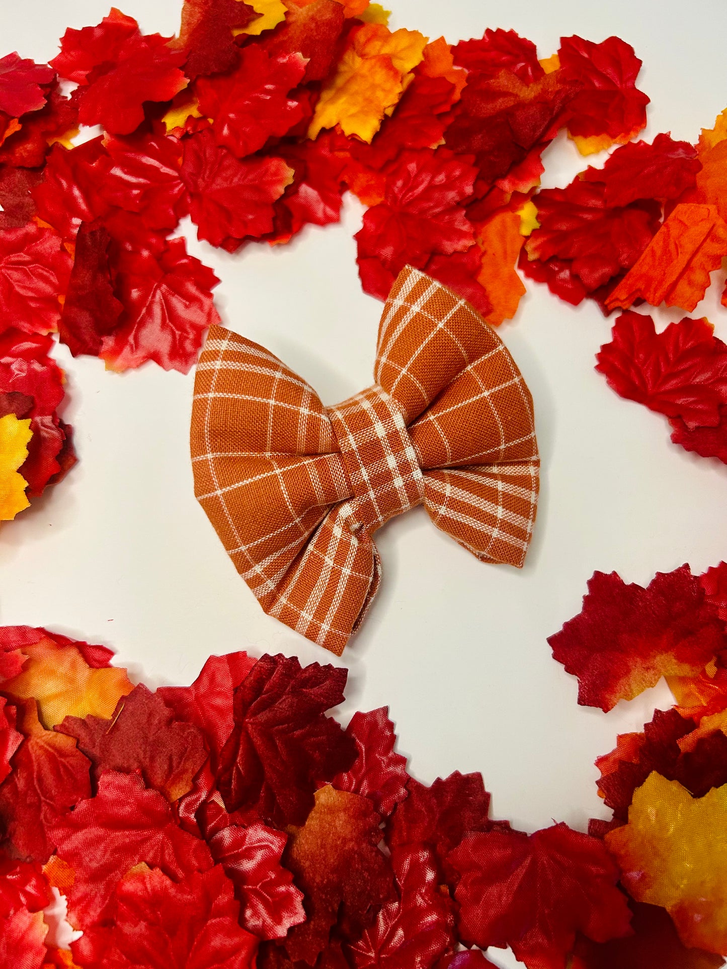 Autumn Skies and Pumpkin Pies Slip Over the Collar Bow Tie