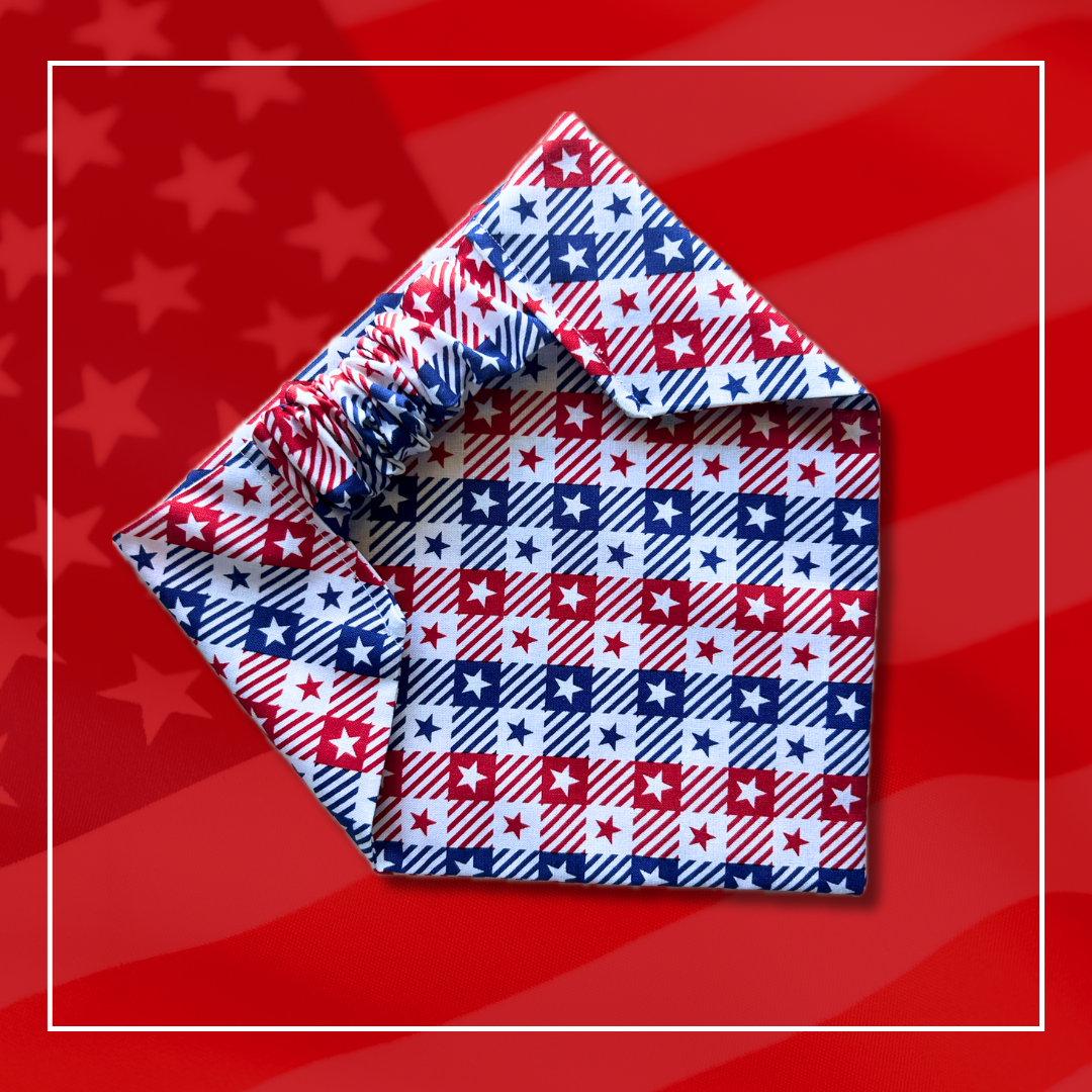 Land of the Free Scrunchie Bandana