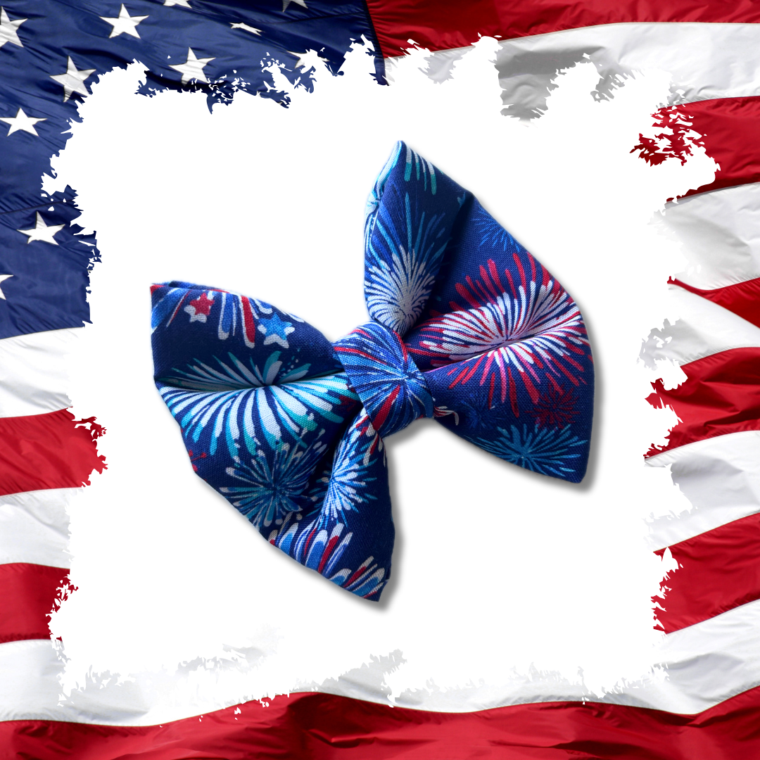 God Bless America Slip Over the Collar Bow Tie