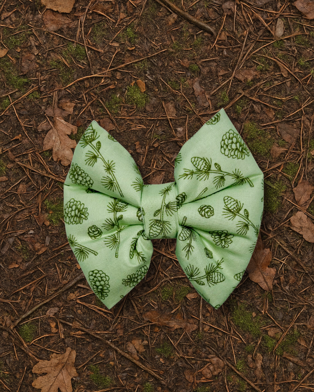 Yosemite Slip Over the Collar Bow Tie