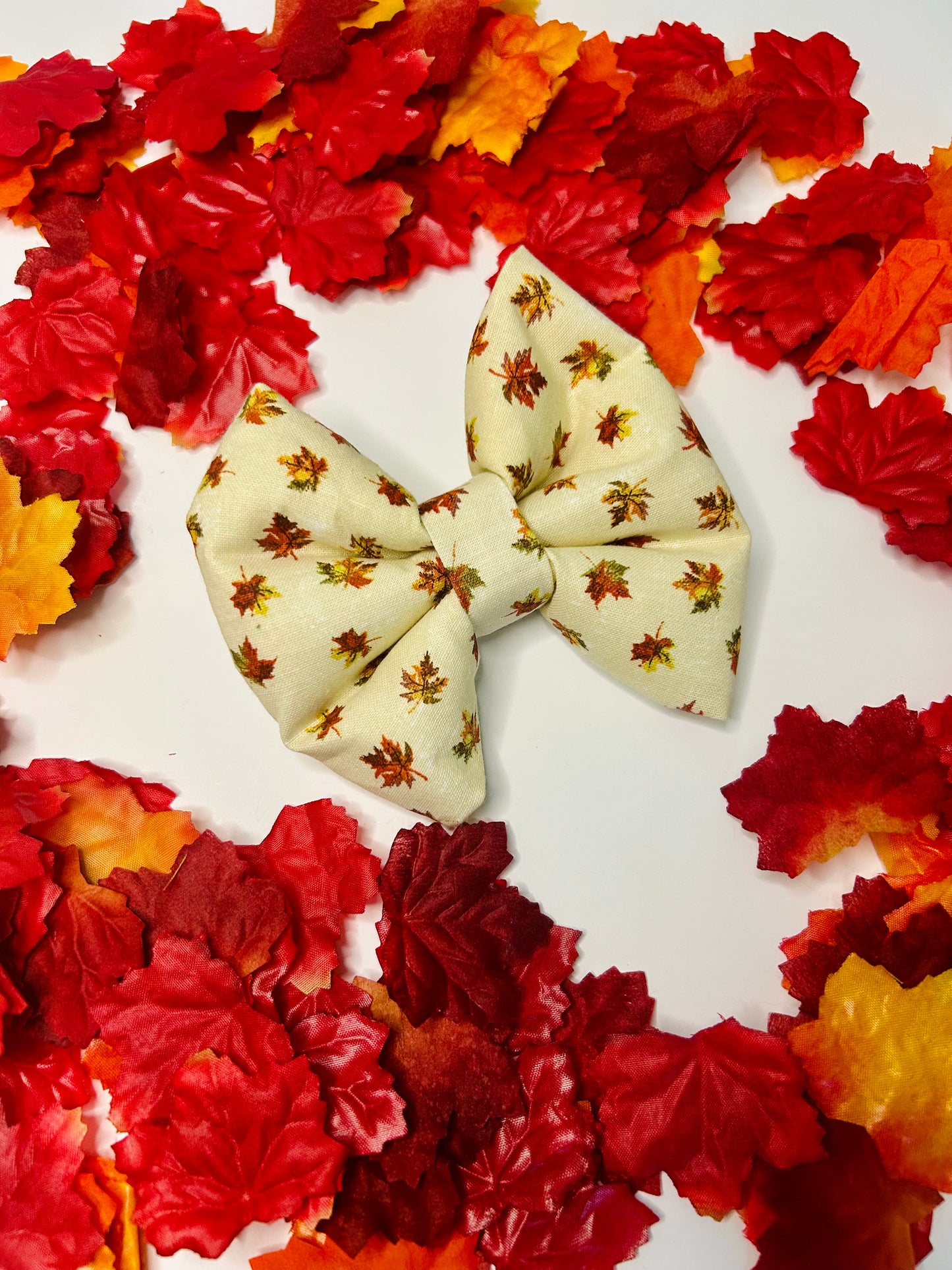 Falling For You Slip Over the Collar Bow Tie