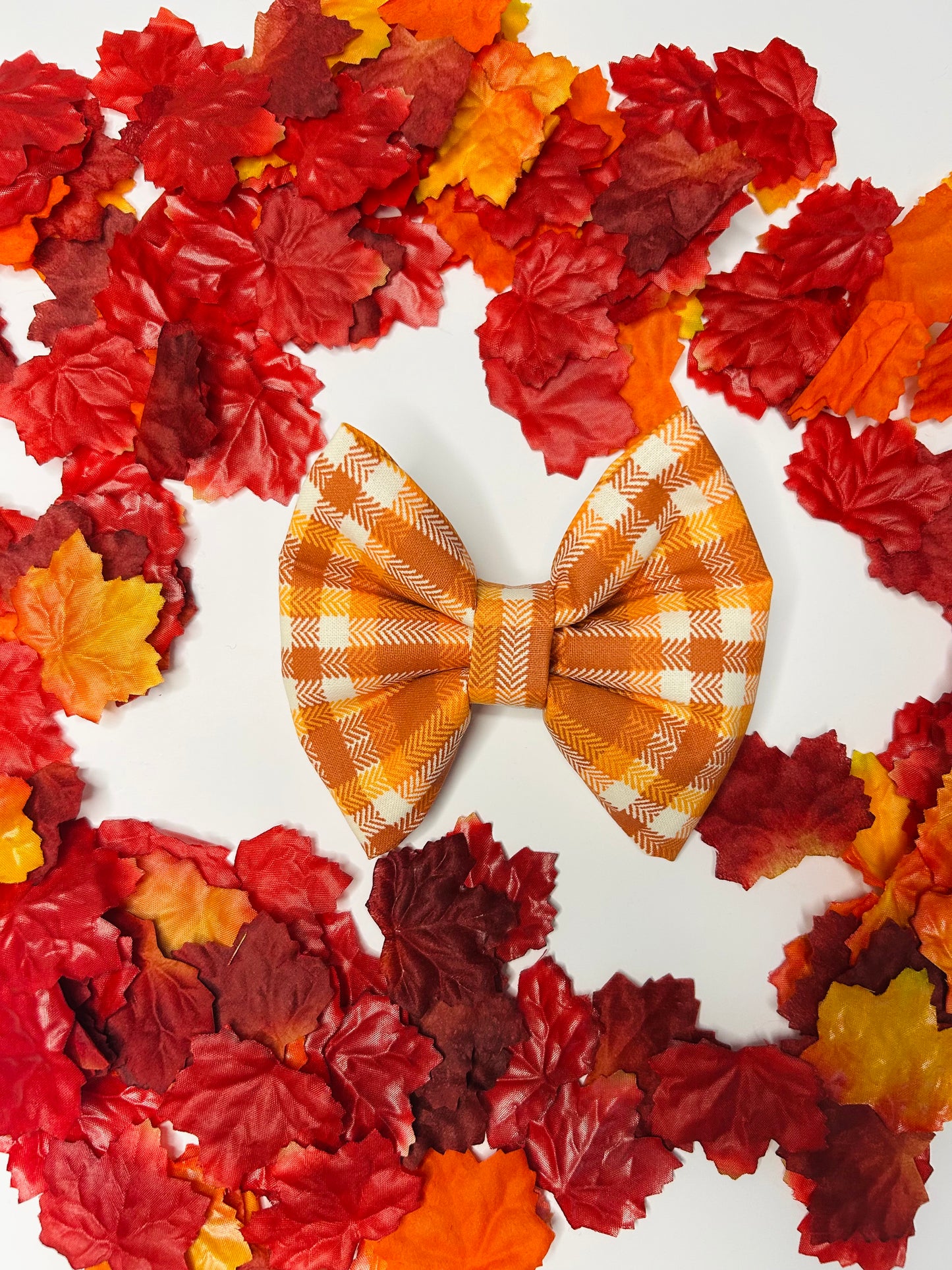 Cute As Pumpkin Pie Slip Over the Collar Bow Tie