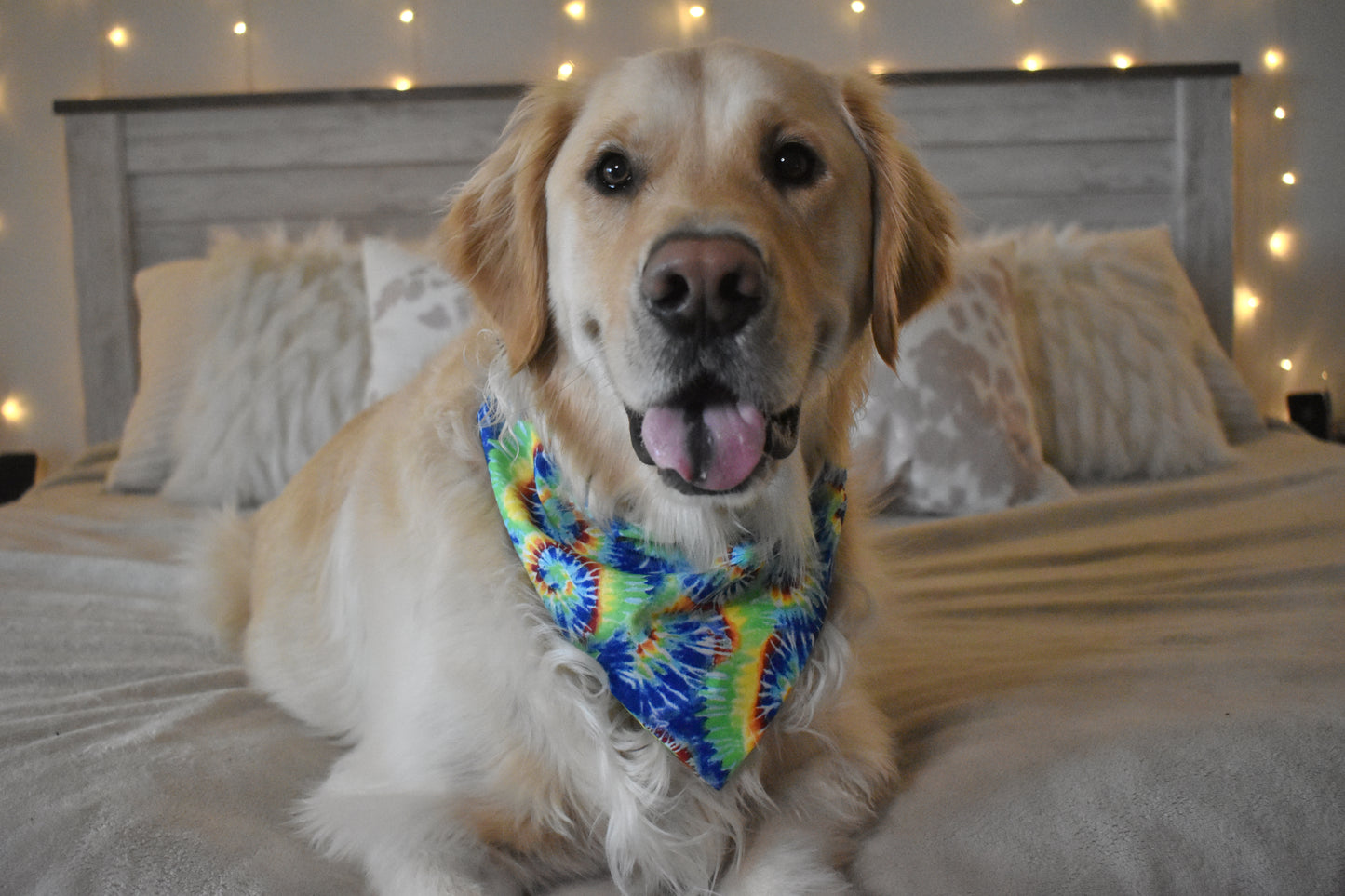 Peace, Love, & Hippies Slip Over the Collar Bandana
