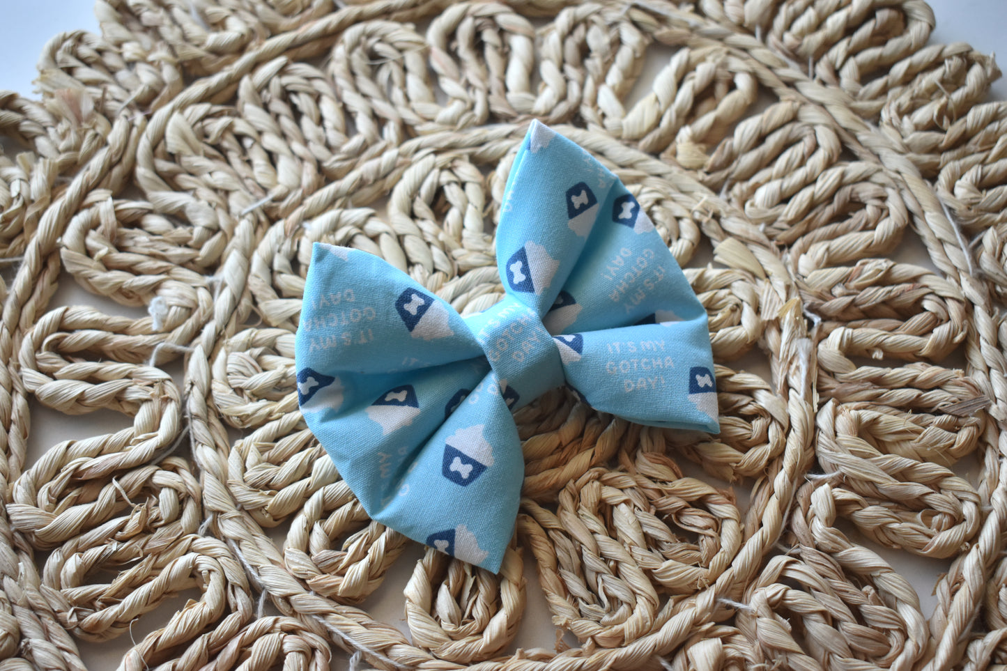 Gotcha Boy Slip Over the Collar Bow Tie