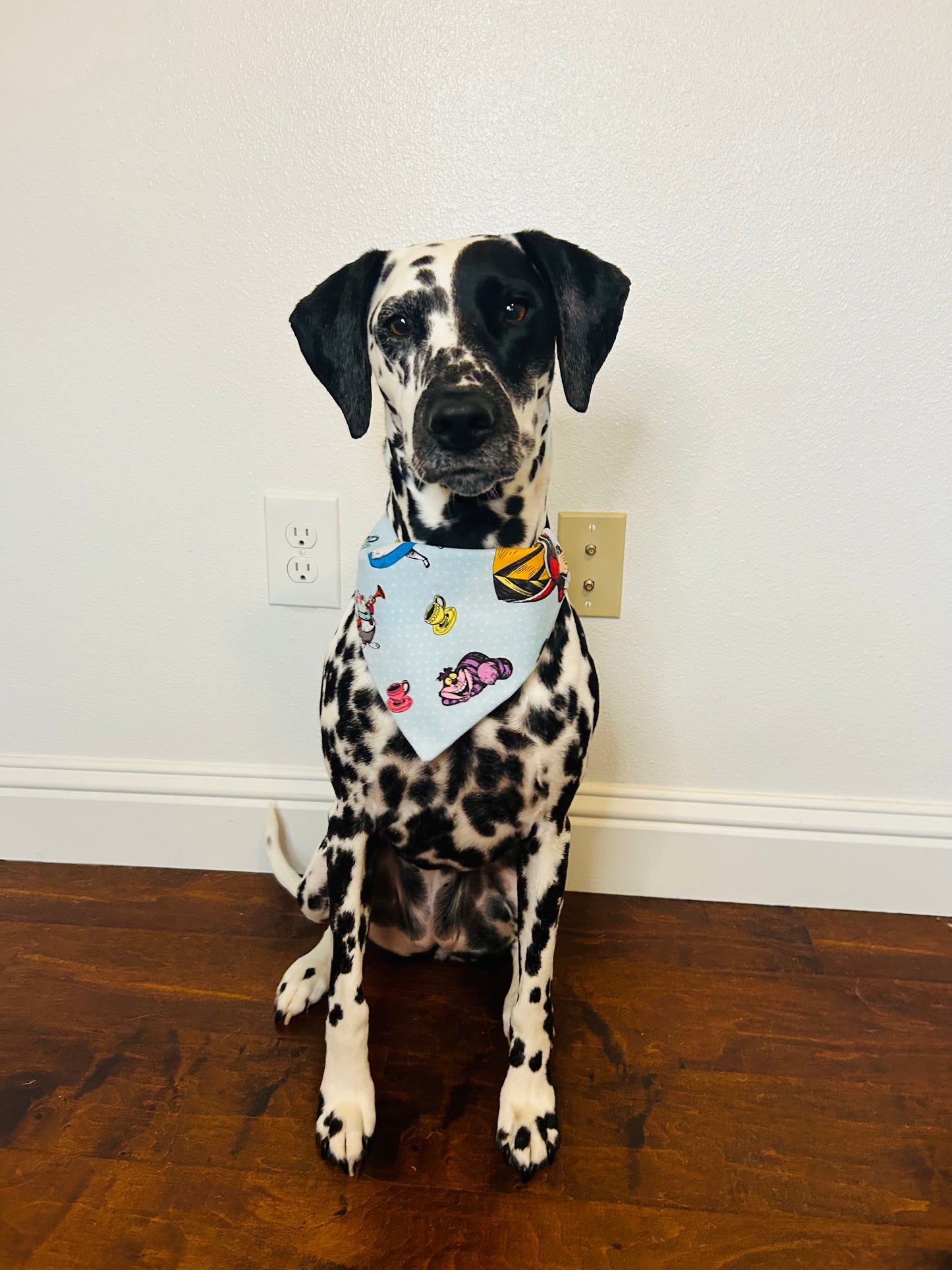 The Mad Tea Party Slip Over the Collar Bandana