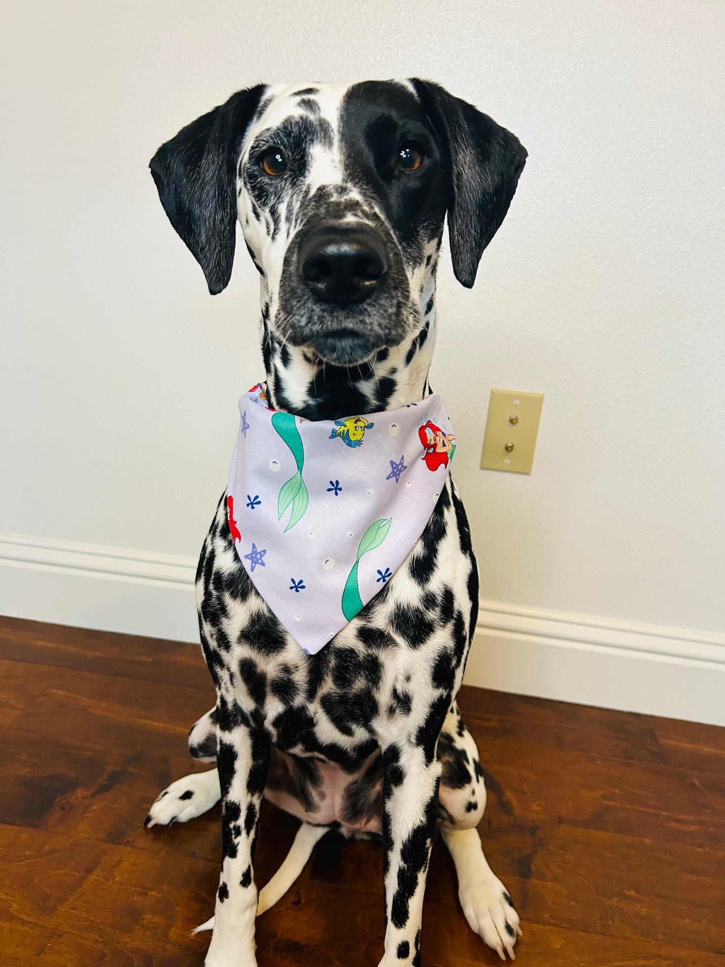 Part of Your World Slip Over the Collar Bandana