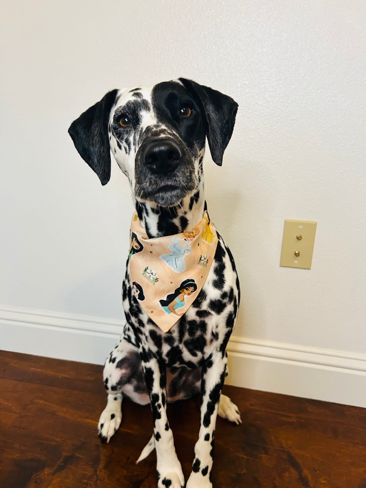 The Princesses Slip Over the Collar Bandana