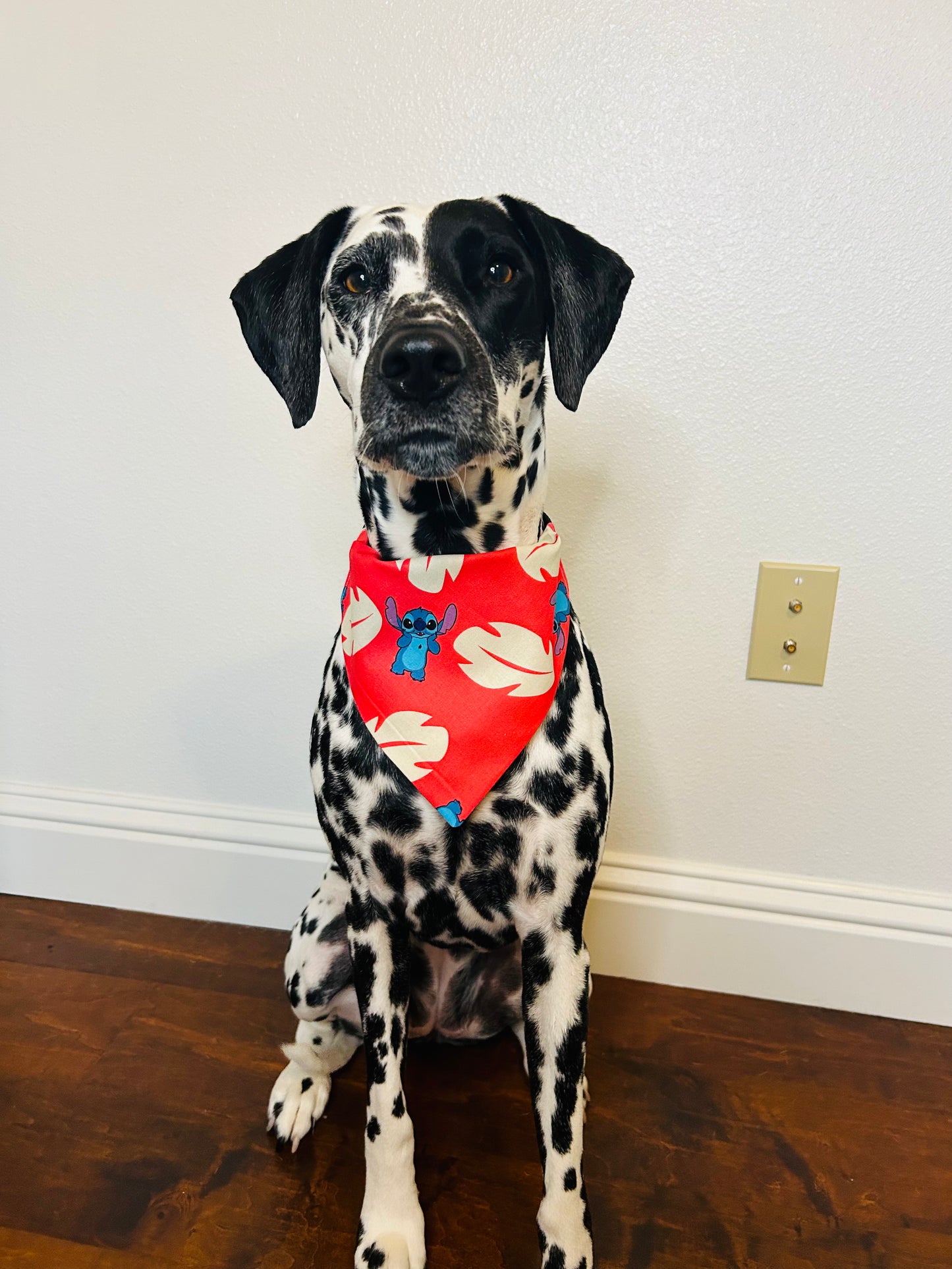 Hawaiian Roller Coaster Ride Slip Over the Collar Bandana