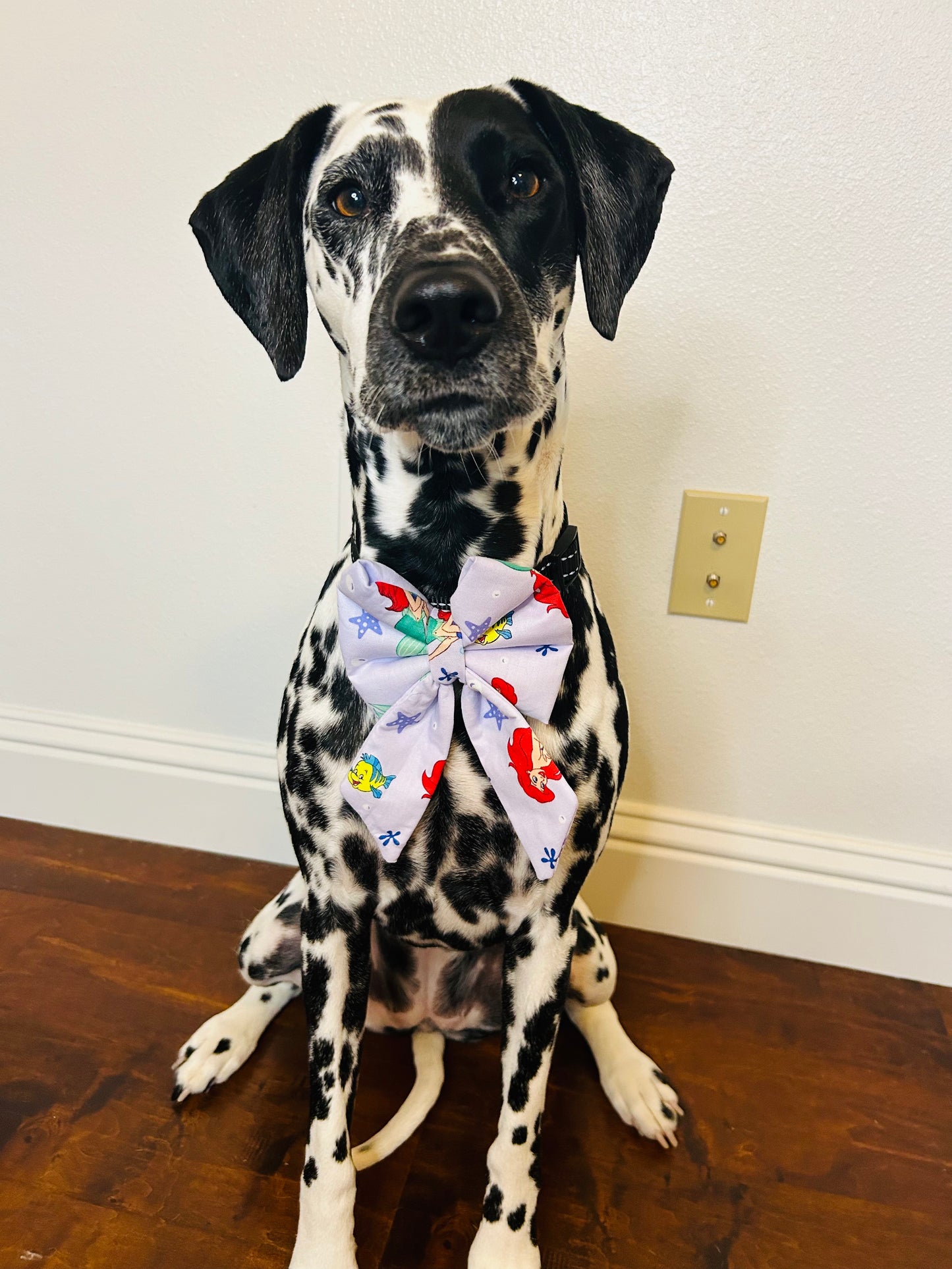 Part of Your World Slip Over the Collar Sailor Bow