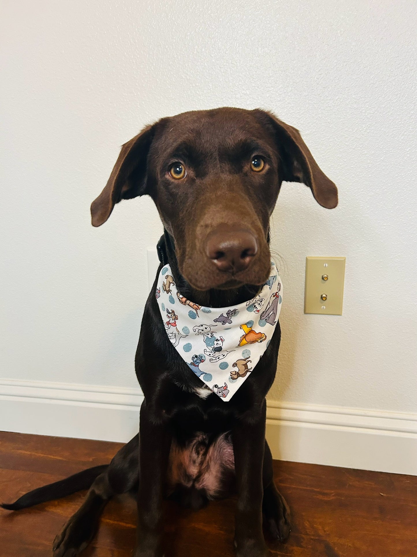 Disney Dogs Slip Over the Collar Bandana