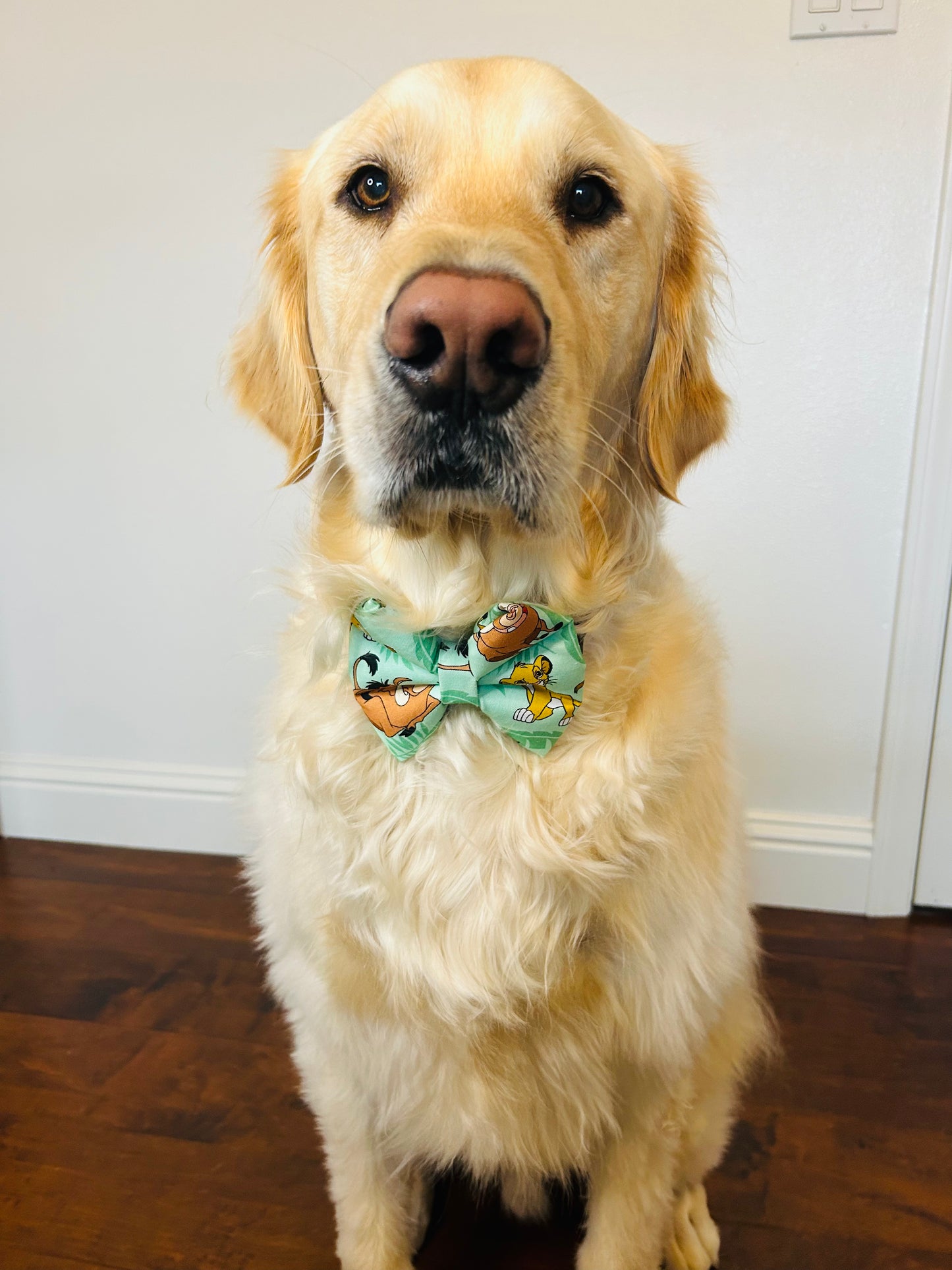 Hakuna Matata Slip Over the Collar Bow Tie