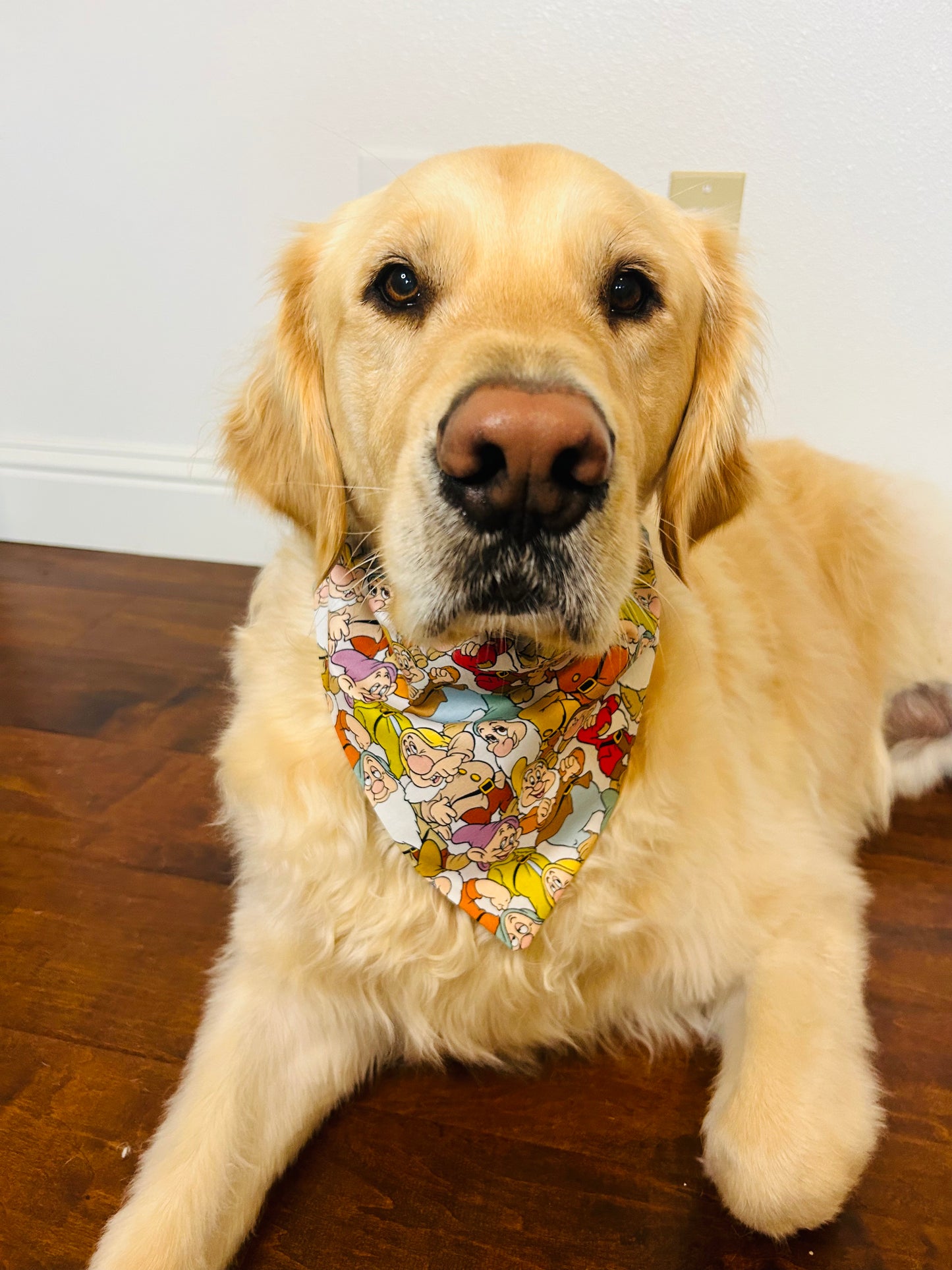 The Seven Dwarfs Slip Over the Collar Bandana