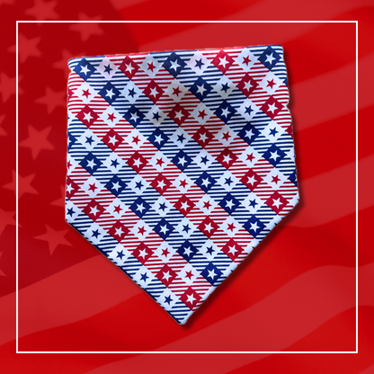 Land of the Free Scrunchie Bandana