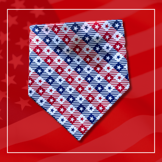 Land of the Free Scrunchie Bandana
