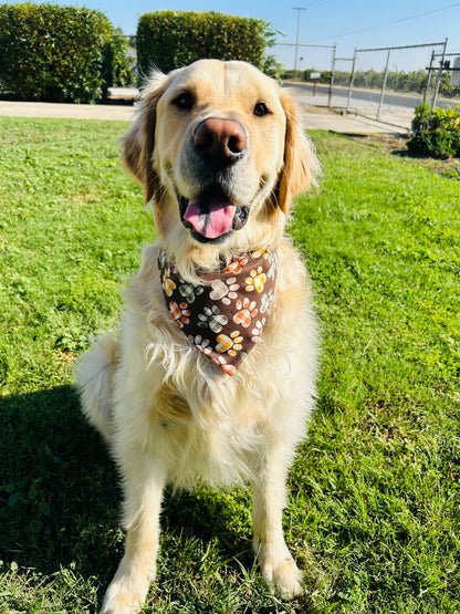 It's Fall Y'all Slip Over the Collar Bandana