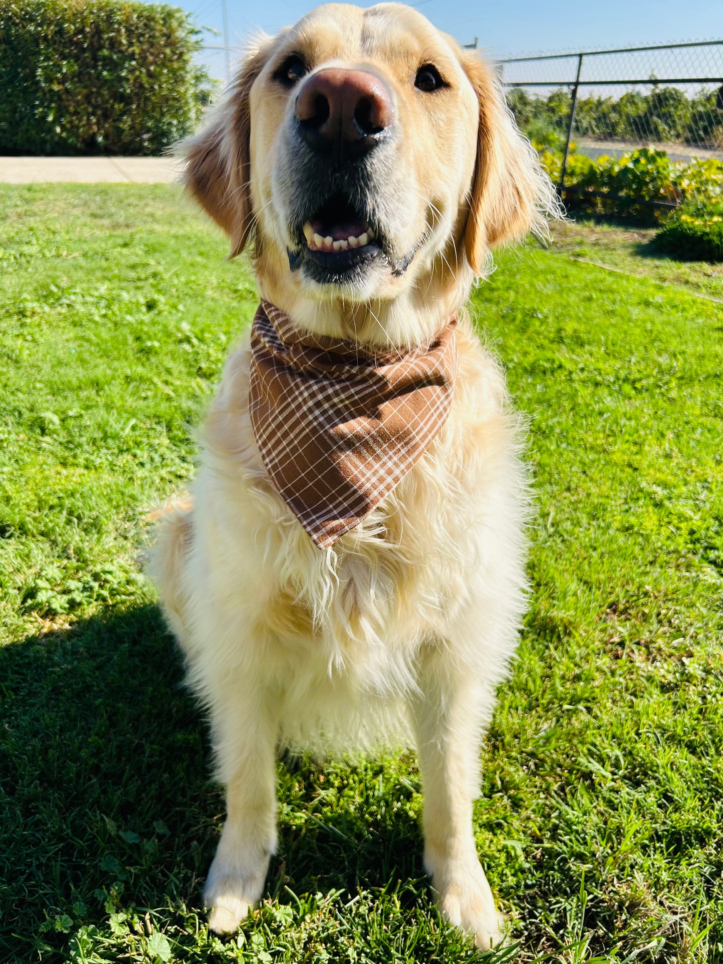 Channel the Flannel Slip Over the Collar Bandana