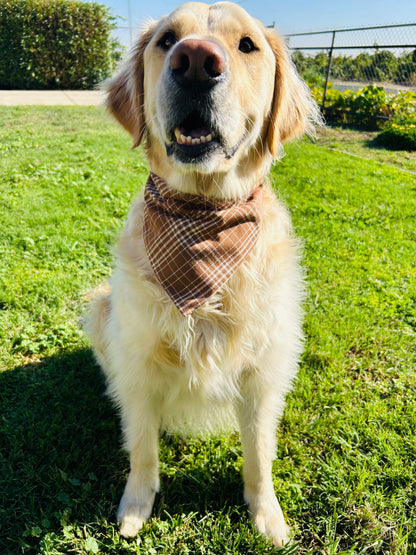 Channel the Flannel Slip Over the Collar Bandana