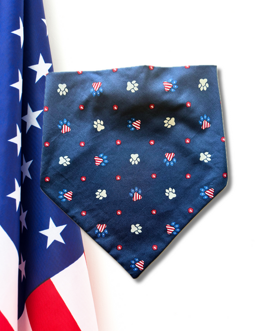 Pawty in the USA  Scrunchie Bandana