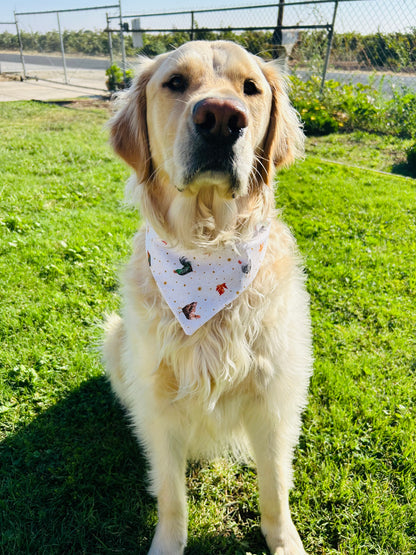 Crunchy Leaves and Cozy Sleeves Slip Over the Collar Bandana