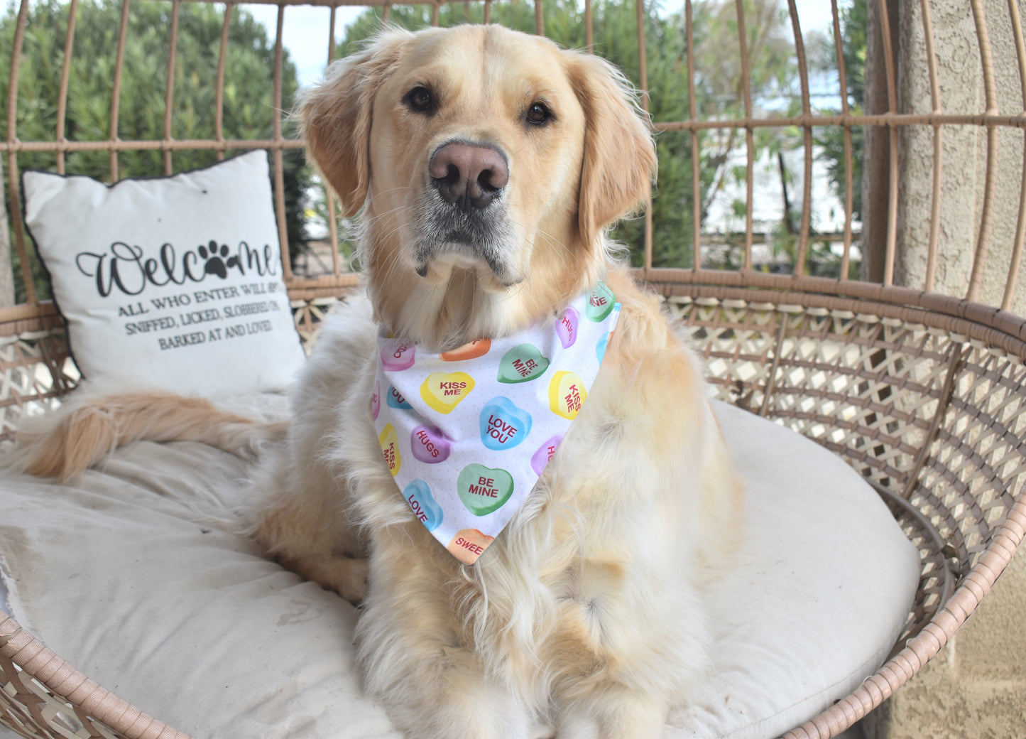 Sweet Heart Slip Over the Collar Bandana