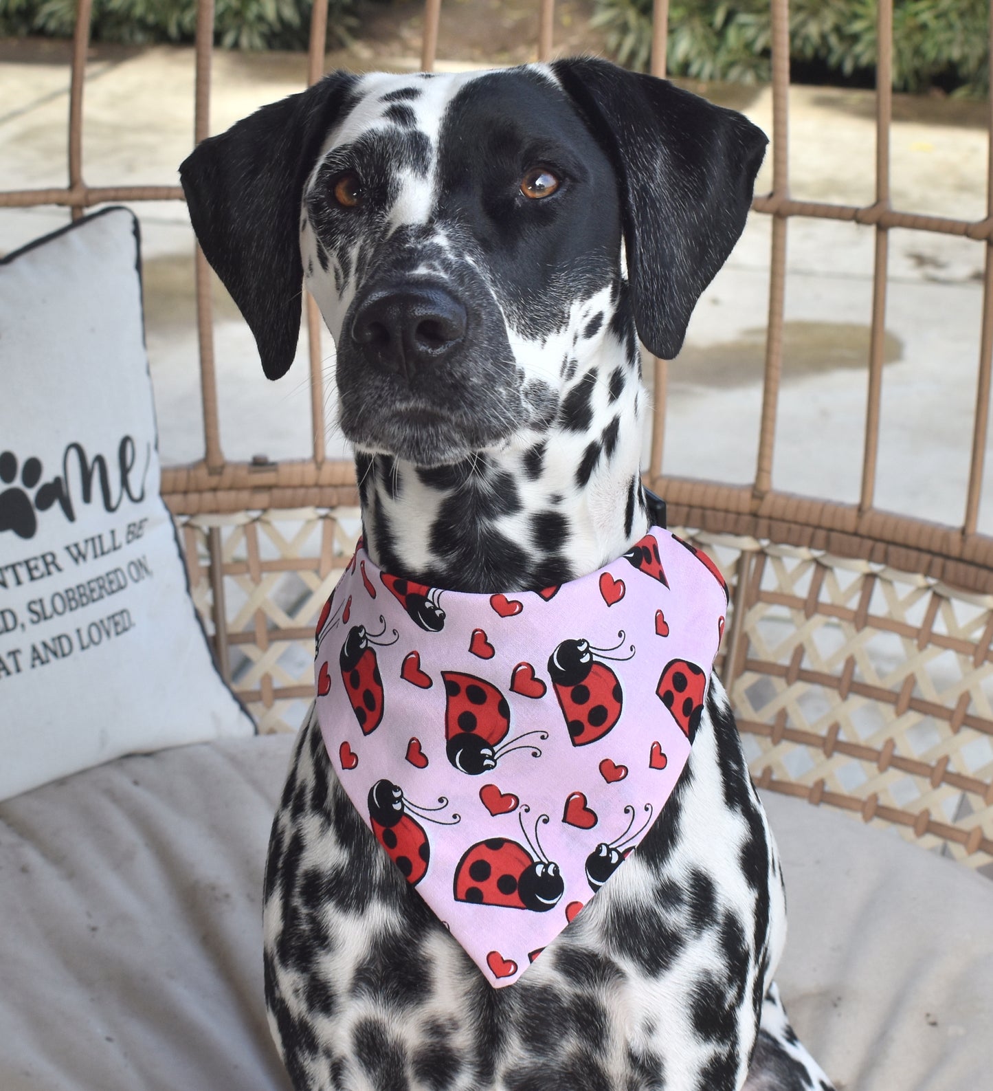 Love Bug Slip Over the Collar Bandana