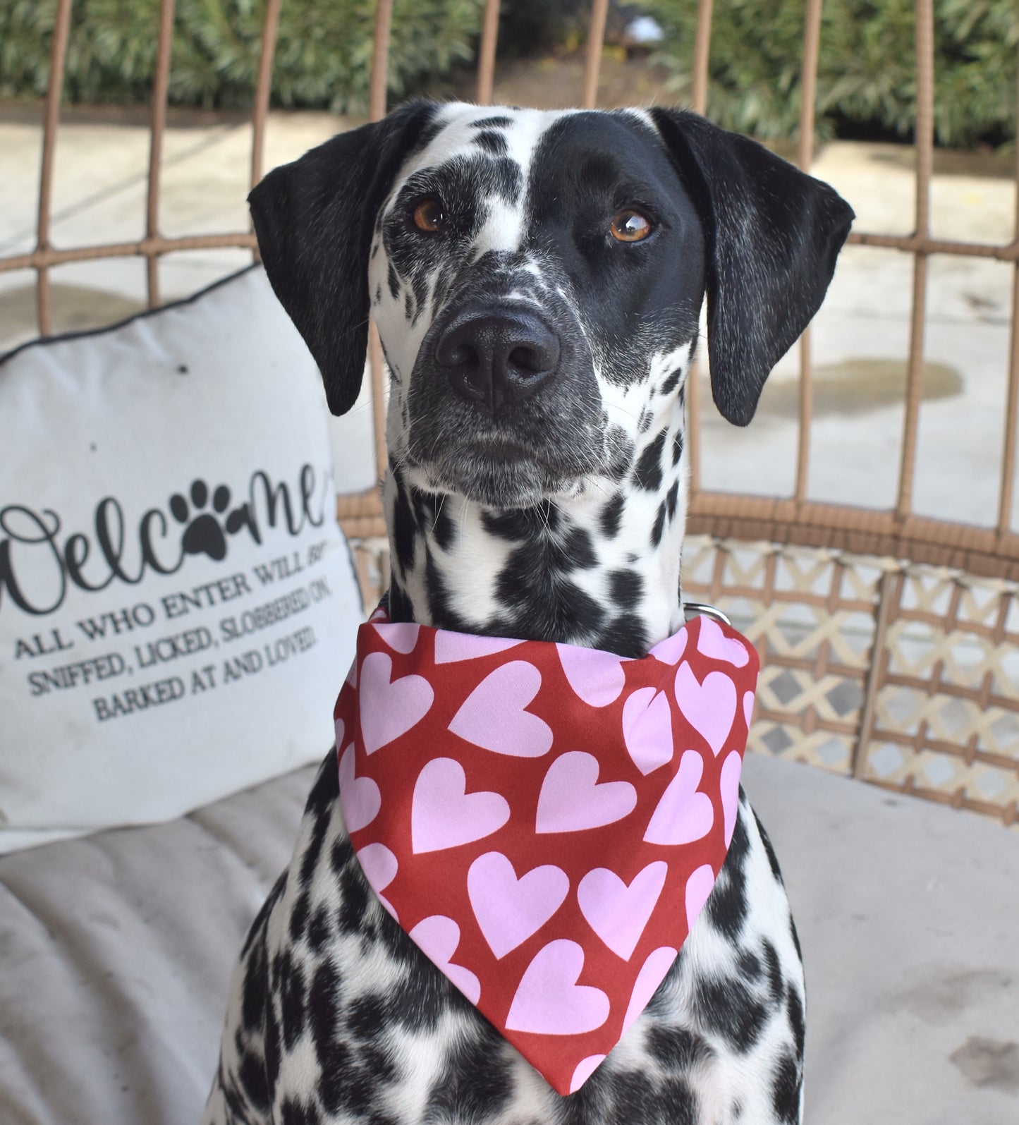 Hearts For You Slip Over the Collar Bandana