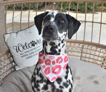 Puppy Kisses Slip Over the Collar Bandana