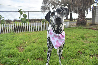 Booty Rockin' Cowgirl Slip Over the Collar Bandana