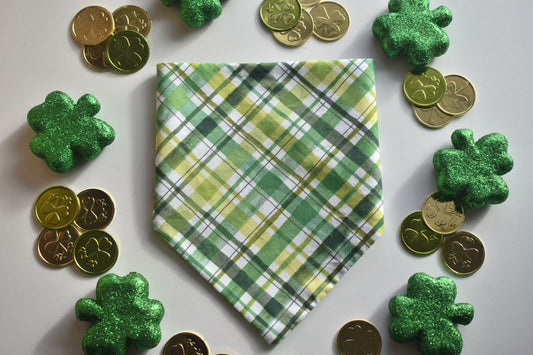 Luck of the Irish Slip Over the Collar Bandana