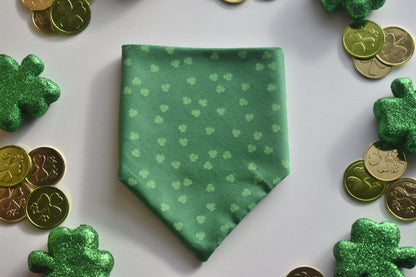 Cutest Clover in the Patch Slip Over the Collar Bandana