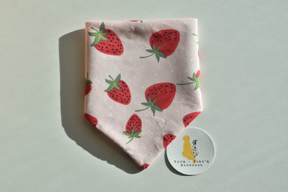 Strawberries & Cream Slip Over the Collar Bandana