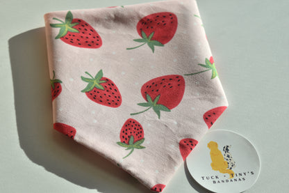 Strawberries & Cream Slip Over the Collar Bandana