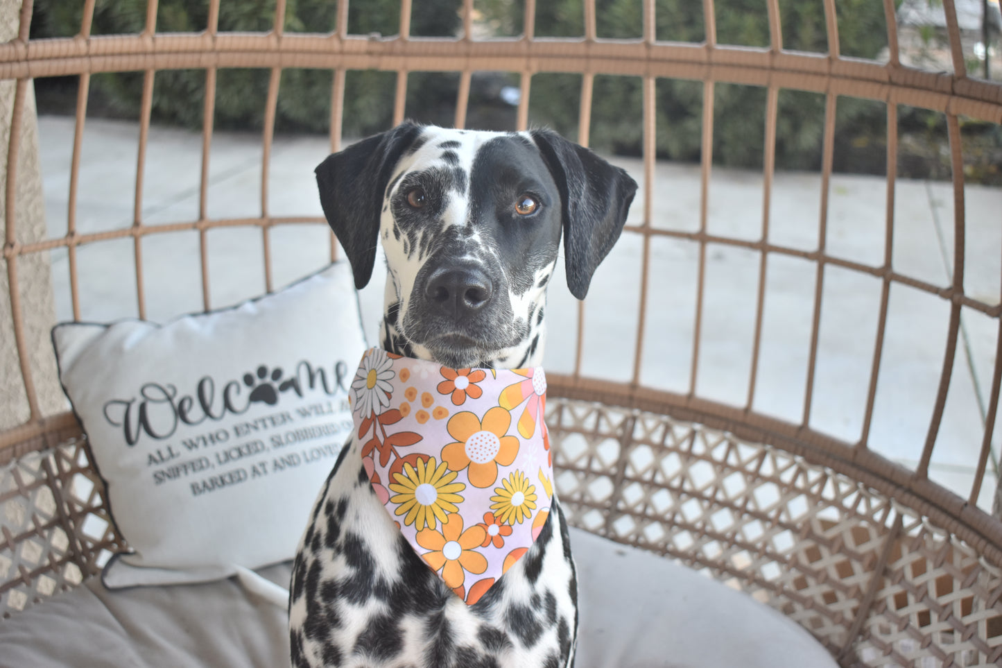 Groovy Girl Slip Over the Collar Bandana