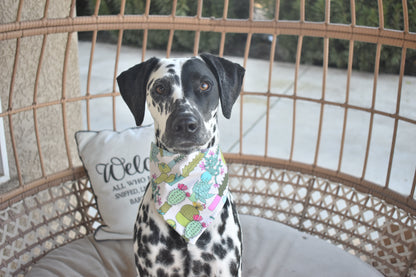 Lookin' Sharp Slip Over the Collar Bandana