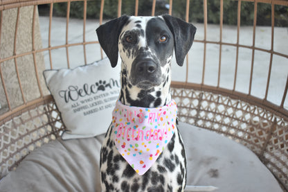 Birthday Girl Slip Over the Collar Bandana