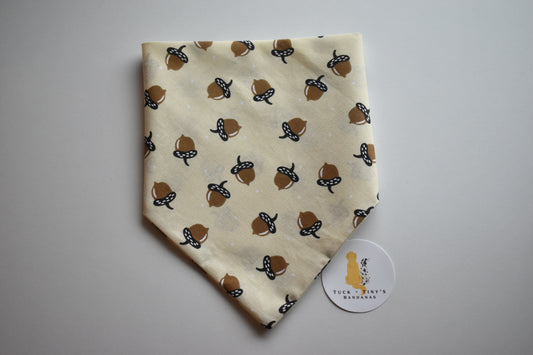 SQUIRREL! Slip Over the Collar Bandana