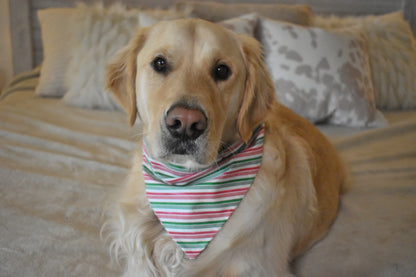 Candy Cane Cutie Slip Over The Collar Bandana