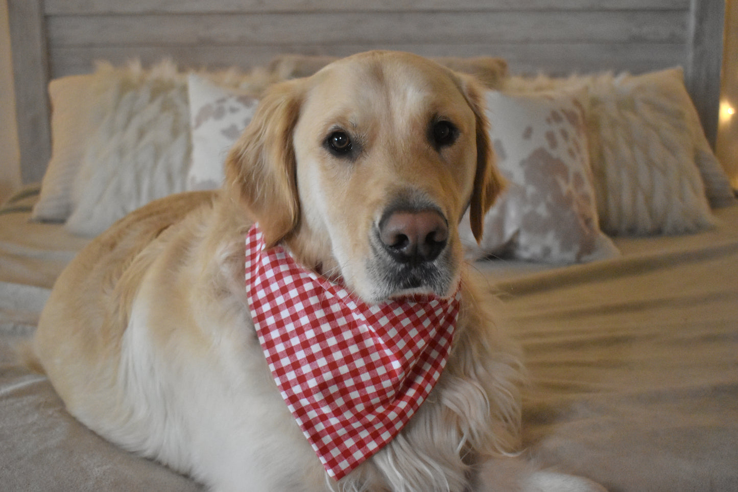 Picnic Table Slip Over the Collar Bandana