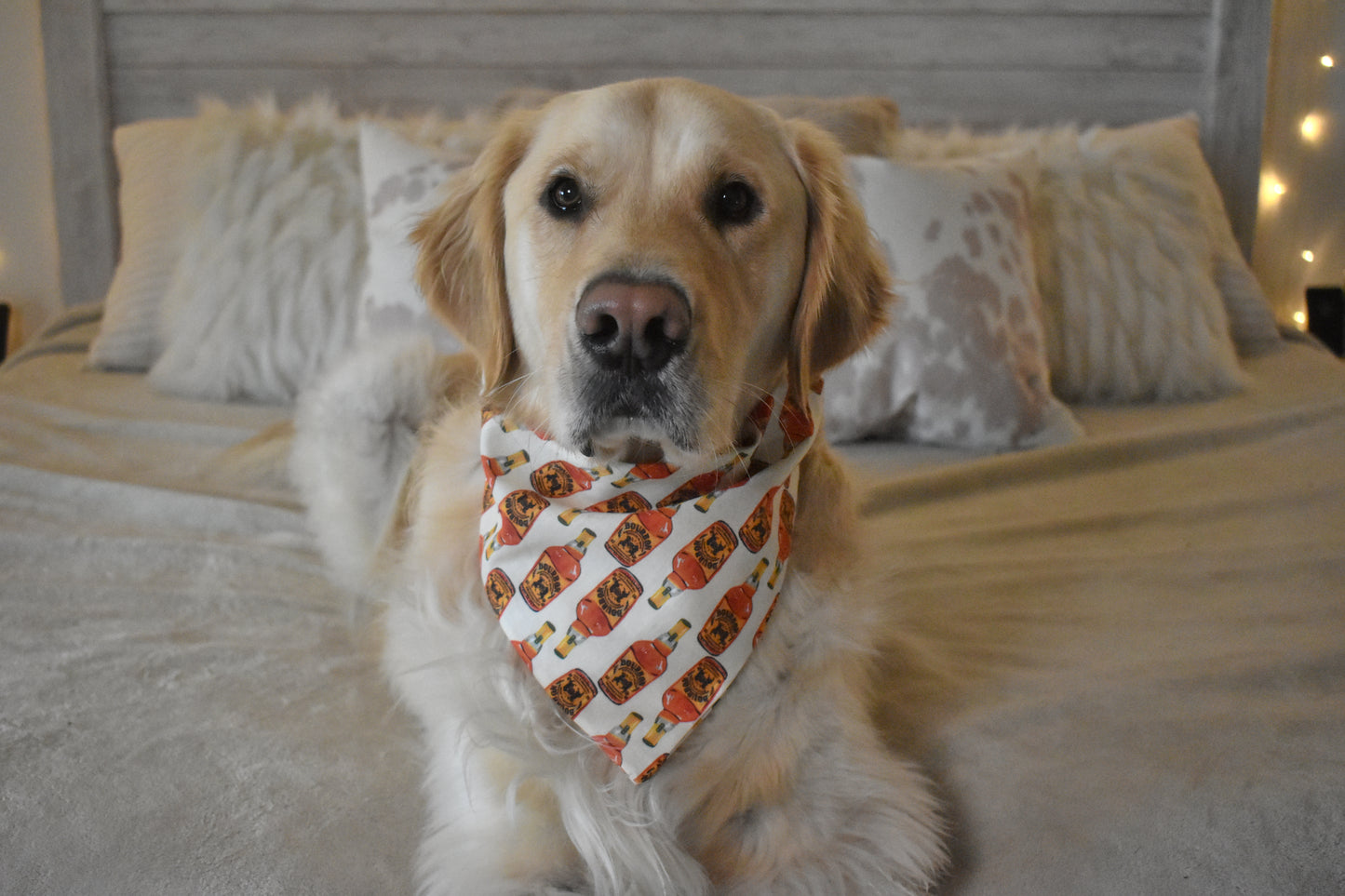 Double On The Rocks Slip Over the Collar Bandana