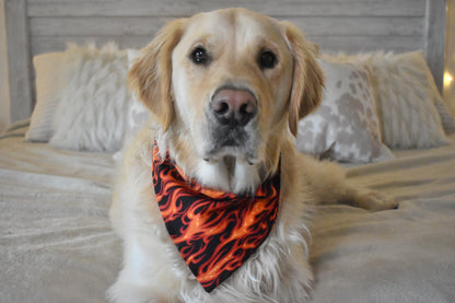 Hot Stuff Slip Over the Collar Bandana