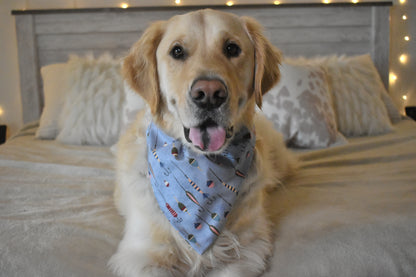 Lovin' Everyday Slip Over the Collar Bandana