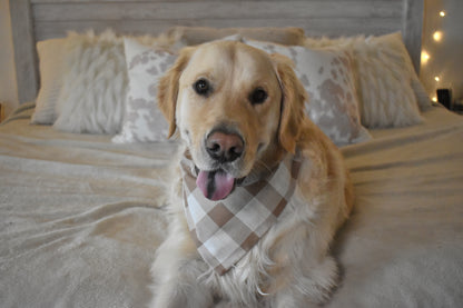 Handsome Boy Slip Over the Collar Bandana