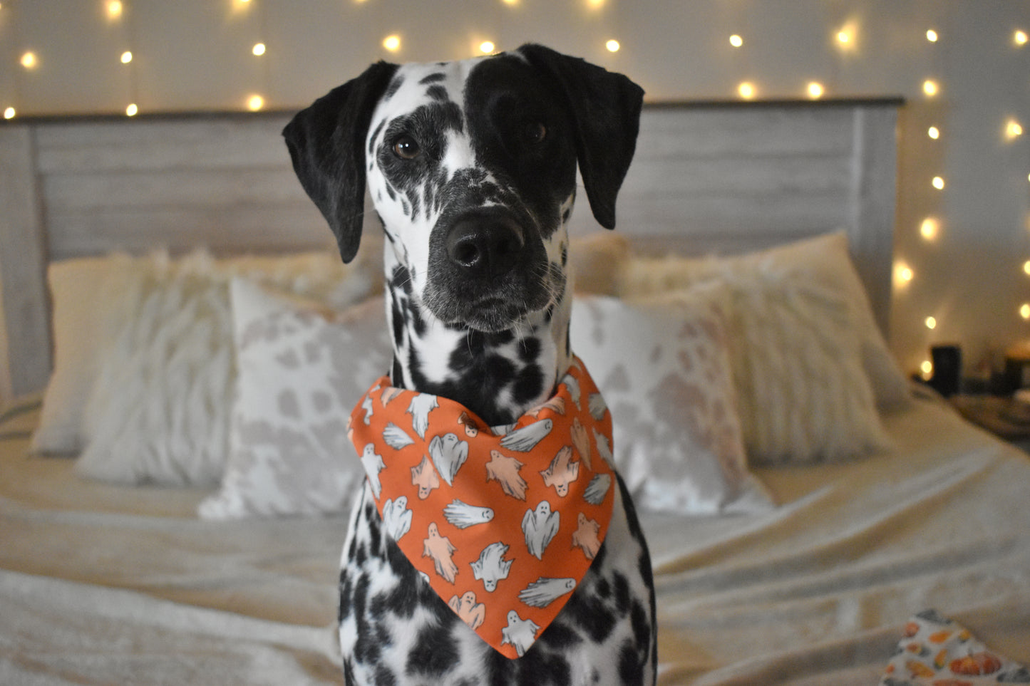 Ghostly Cute Slip Over the Collar Bandana