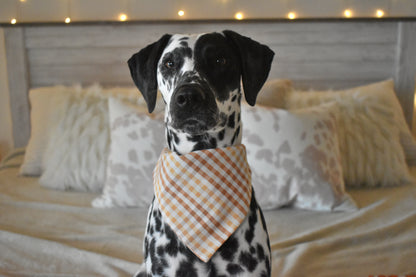 Fall Gingham Slip Over the Collar Bandanas