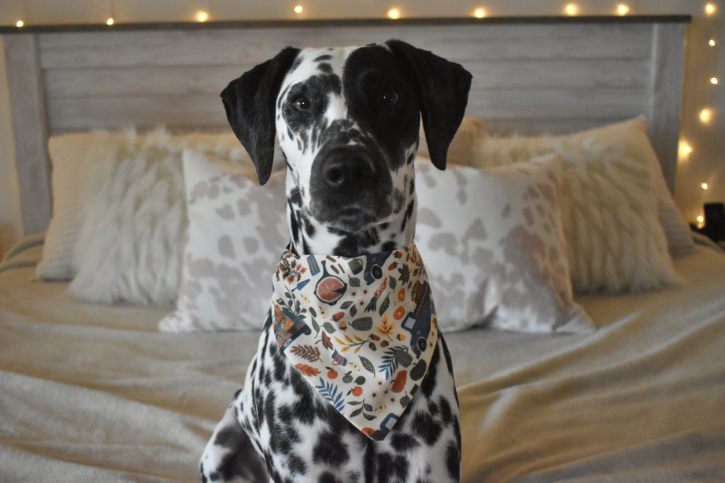 Fall Trucks Slip Over the Collar Bandana