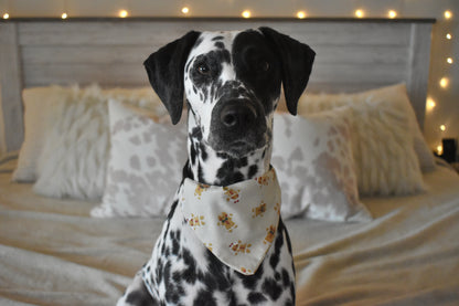 Oh Gingersnaps! Slip Over The Collar Bandana