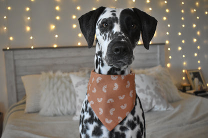 Sunshine & Rainbows Slip Over the Collar Bandana