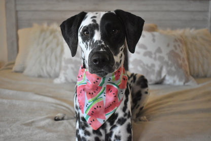 Have A Slice Slip Over The Collar Bandana